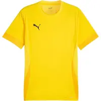 Puma Trikot TeamGoal