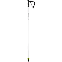 Head Skistöcke Worldcup Rebels Carbon White / Black-110 cm