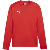 Puma Teamgoal Trainingssweat Herren - Rot
