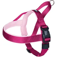 Nobby Norwegergeschirr Classic Preno - extra weich und fellschonend 1 St Hundegeschirr