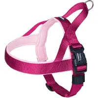 Nobby Norwegergeschirr Classic Preno - extra weich und fellschonend 1 St Hundegeschirr