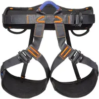 BEAL Aero Team Gurtzeug