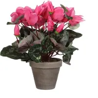 Mica Decorations Kunstblume Alpenveilchen Cyclame Ø 30 H 30 cm rosa