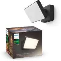 Philips Hue Welcome Flutlicht White