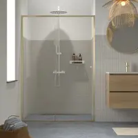 Sealskin Contour Schiebetür für Nische inkl. Antikalk 140x200cm gebürstetes Gold