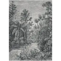 Superfresco Fototapete "Jungle" glatt 200 cm Länge