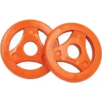 Tunturi Aerobic Disc Gewichtsscheiben Paar