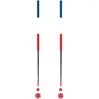 Les batons d'Alain - Tourenski-Stöcke - France - Größe 115 cm - Blau