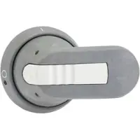 ABB OHG65J6 Pistolengriff grau 65mm Wellen-ř 1SCA022380R9740