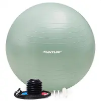 Tunturi Fitball 65 Cm