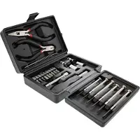 InLine Heim und Hobby Werkzeugset, 25-teilig, mit Kunststoff Etui, Schwarz, Metallisch