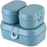 Koziol Pascal Ready Mini Lunchbox-Set 3-teilig nature flower blue