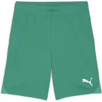 Puma Teamgoal Shorts Herren - Grün