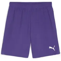 Puma teamGOAL Shorts Flock: - Größe: M