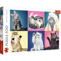 Trefl 37377, 500 Stück(e), Tiere, 10 Jahr(e)