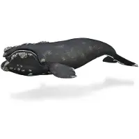 Collecta Rechte Walfigur Schwarz Schwarz One Size