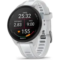 Garmin Forerunner 165 Music Dunstgrau/Steinweiss