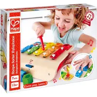 Hape Xylophon S Sortierer Xylophon Xylophon