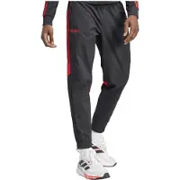 Adidas Jogginghose Predator 30th
