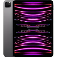 Apple MNXF3FD/A iPad Pro 27,96cm 11,0Zoll 256GB WiFi Gray M2 Chip Liquid Retina Display 2.388 x 1.668 pixel 264 ppi