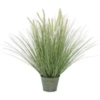 Europalms Ziergras