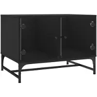 vidaXL Couchtisch mit Glastüren Schwarz 68,5x50x50 cm