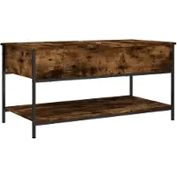 vidaXL Couchtisch Räuchereiche 100x50x50 cm Holzwerkstoff und Metall
