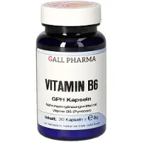 GALL PHARMA Vitamin B6 GPH Kapseln 120 St