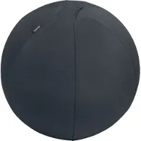 Leitz Ergo Active Sitzball