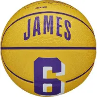 Wilson Nba Player Icon Mini Bskt Lebron