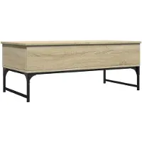 vidaXL Couchtisch Sonoma-Eiche 100x50x40 cm Holzwerkstoff und Metall