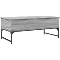 vidaXL Couchtisch Grau Sonoma 100x50x40 cm Holzwerkstoff und Metall