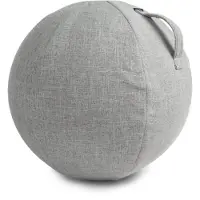 VirtuFit Schutzhülle für Fitnessball