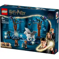 LEGO Harry Potter Der verbotene Wald: Magische Wesen Spielzeug mit Hermine und Ron-Figuren, plus Fantasy-Tiere wie Seidenschnabel und Thestral, Geschenk für Kinder, Mädchen, Jungen ab 8 Jahren 76432