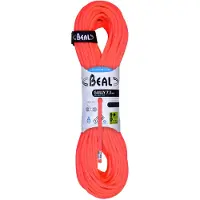 BEAL Gully Golden Dry 7.3 Mm Seil