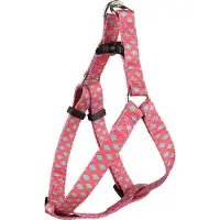 Flamingo Geschirr Step & Go Sue rosa/grün, Maße: 35-50 cm / 15 mm