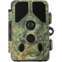 Caruba Wildlife Kamera Kröte Full HD