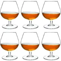 Arcoroc Degustation
