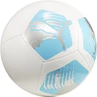 Puma Big Cat Trainingsball Weiss F04