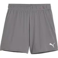 Puma Teamgoal Shorts Damen - Grau