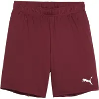Puma Teamgoal Shorts Kinder - Bordeaux