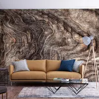 Artgeist Fototapete – Zeichen der Zeit – abstrakter Hintergrund mit faltiger Rinde eines alten Baumes