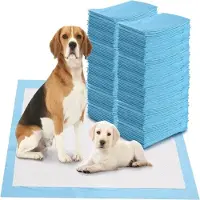 Coast Trainingsmatte für Hunde Auslaufsichere 5-Lagen-Design-Welpenmatte Hygienische Einweg-Pads (100 Stück 60 x 90 cm)