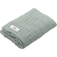THE ORGANIC COMPANY FINE Hand Towel