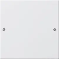 Gira System 55 Taster-Bussystem - 218127