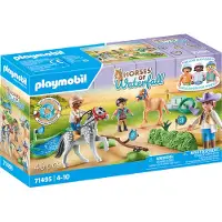 Playmobil Horses of Waterfall 71495 Ponyturnier