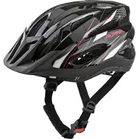 Alpina Herren Fahrradhelm "MTB 17"