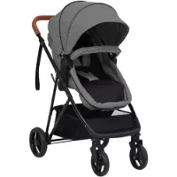 vidaXL 2-in-1 Kinderwagen Hellgrau und Schwarz Stahl