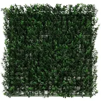 Karat Buxus