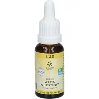 Hager Pharma GmbH Bachblüten No.35 White Chestnut Bio 20 ml